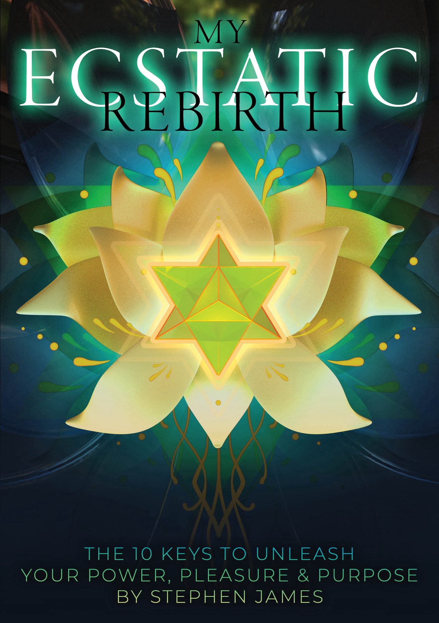 My Ecstatic Rebirth: The 10 Keys To Unleash Your Power, Pleasure & Purpose - Hardback Workbook