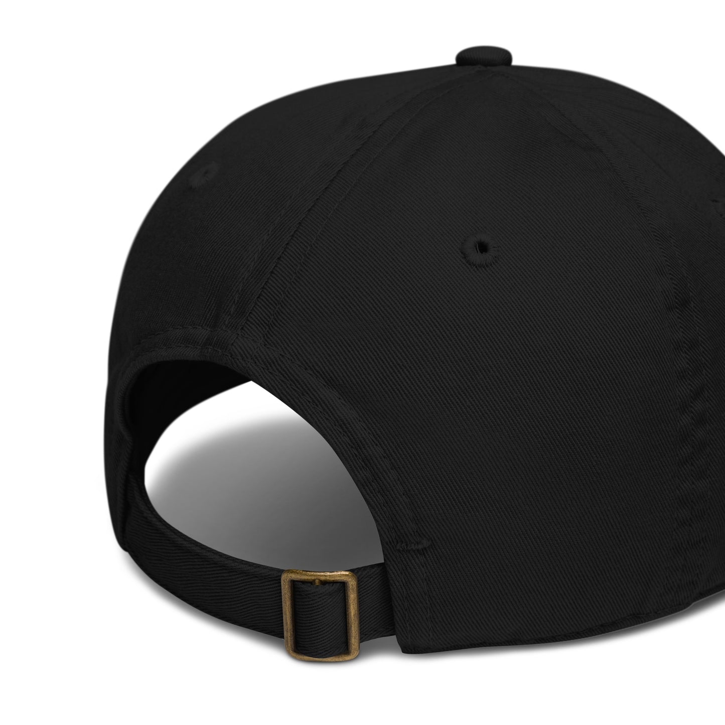 100% Organic Cotton Hat With Raw Attraction Logo
