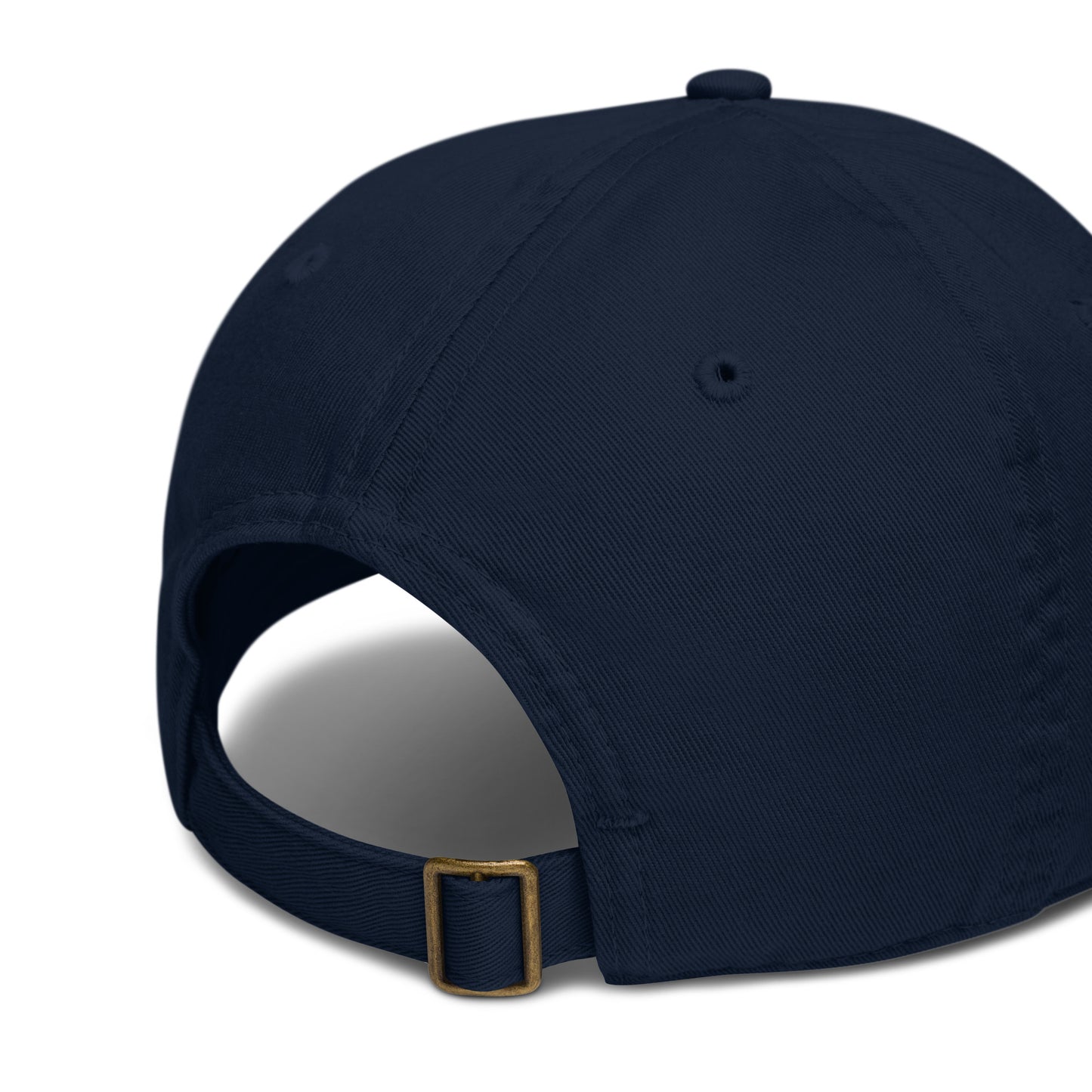 100% Organic Cotton Hat With Raw Attraction Logo